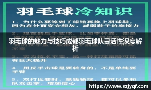 羽毛球的魅力与技巧成都羽毛球队灵活性深度解析